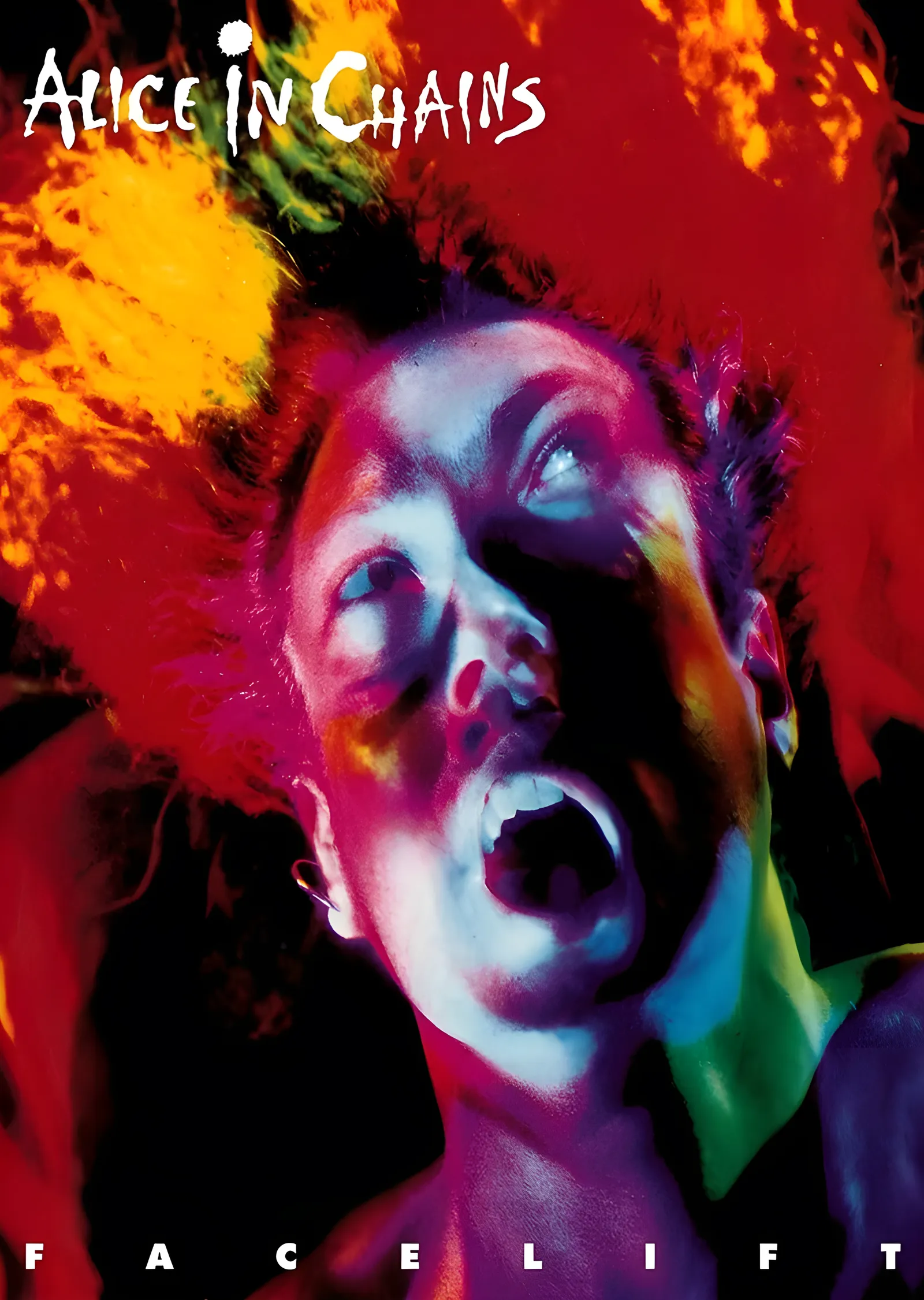 Alice in Chains - Facelift metal tablo