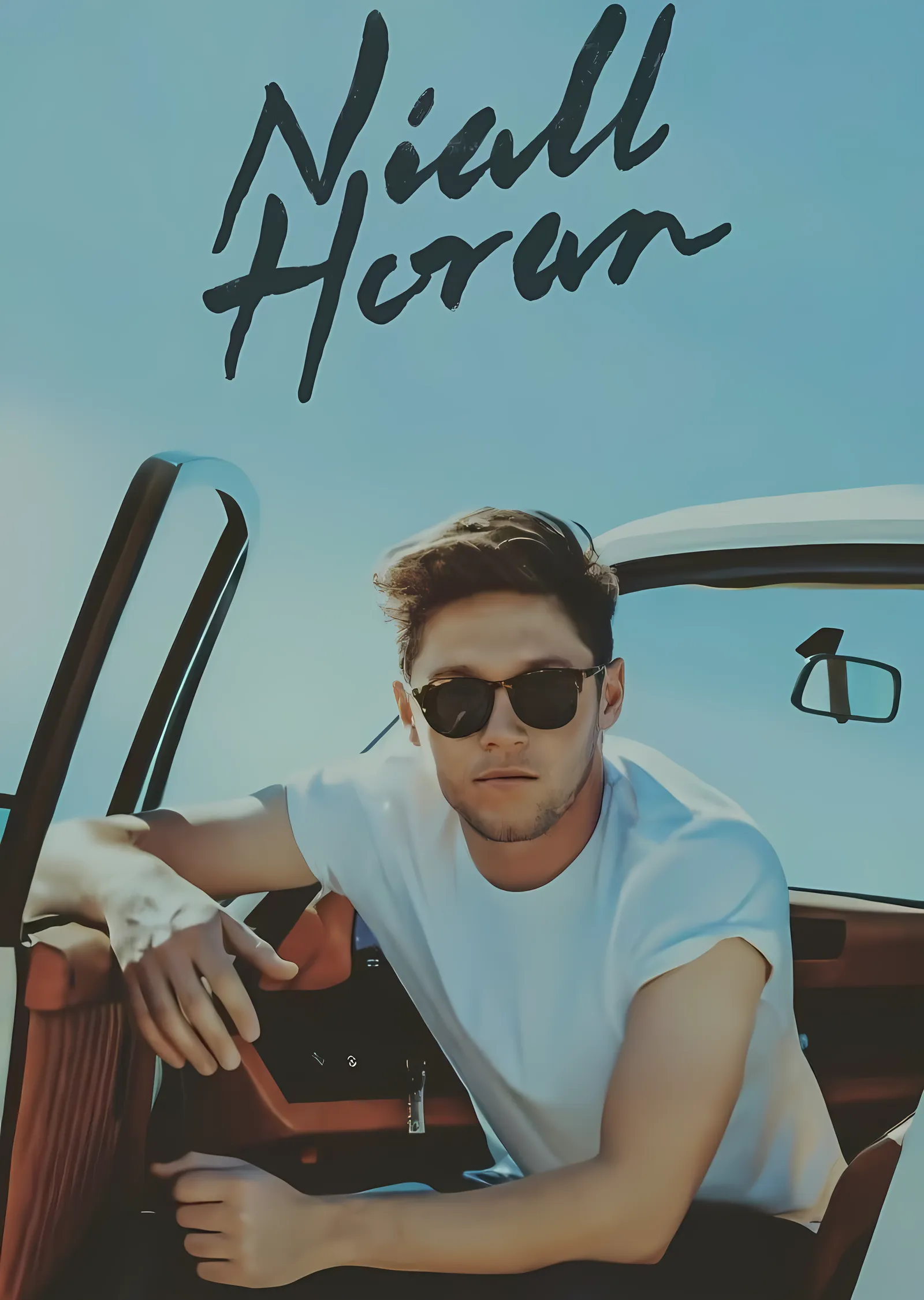 Niall Horan: Arabada Gün Batımı metal tablo