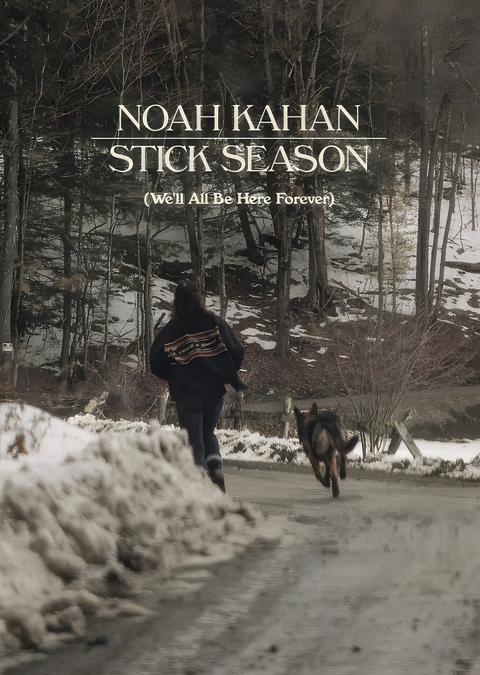 Noah Kahan: Stick Season Karlı Yol metal tablo