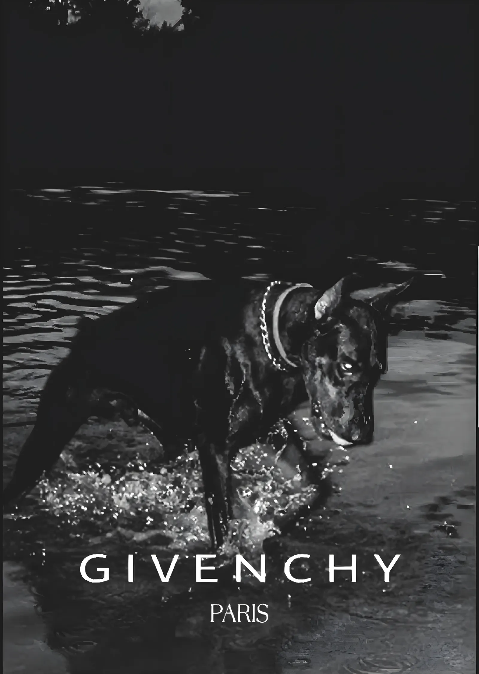 Givenchy: Su İçindeki Köpek metal tablo