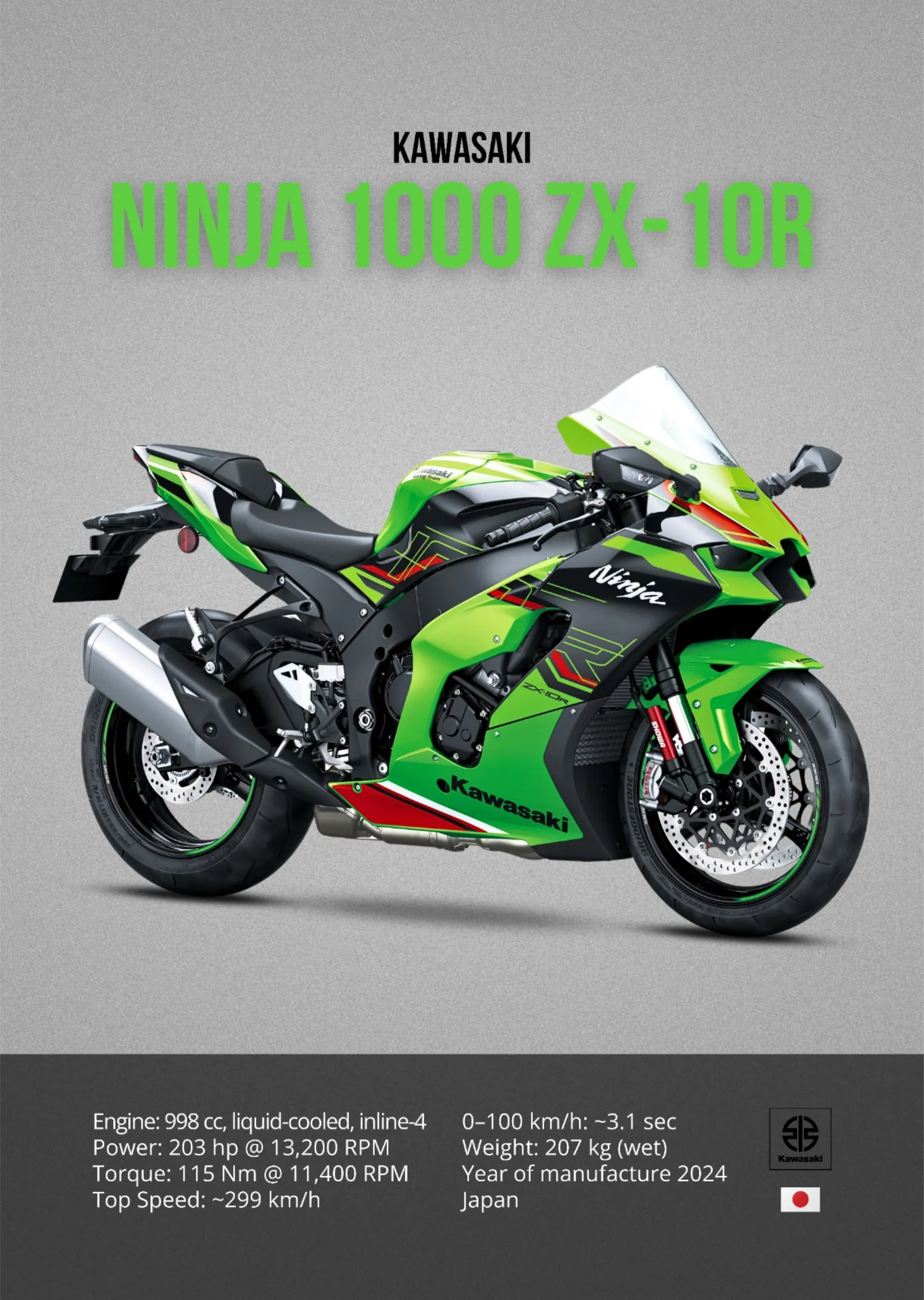 Kawasaki Ninja 1000 ZX-10R metal tablo