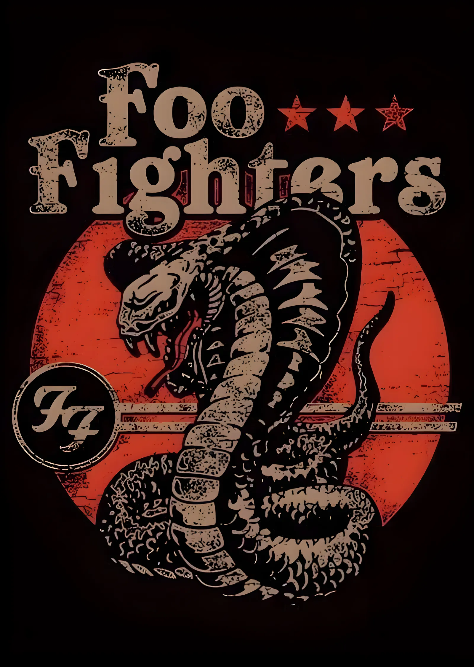 Foo Fighters: Yılan ve Yıldızlar metal tablo