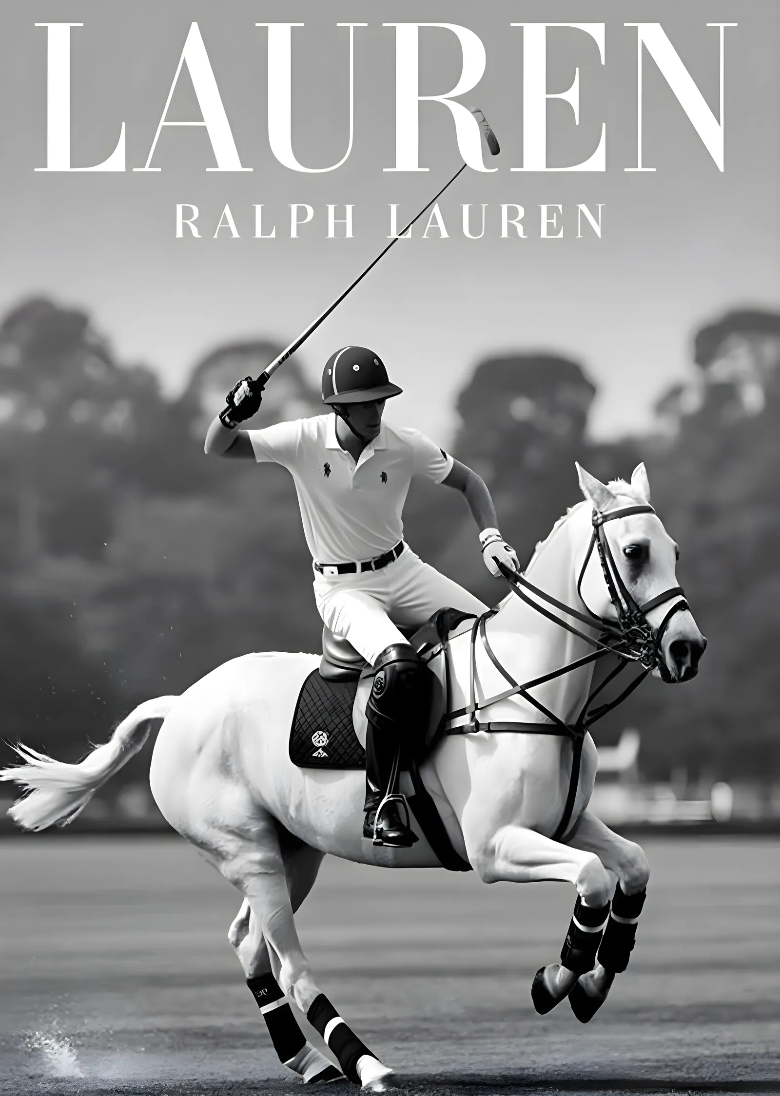 Ralph Lauren Polo Spor metal tablo