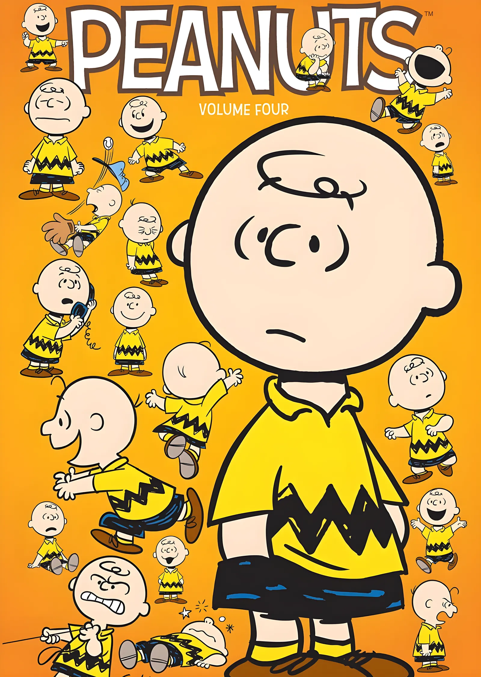 Peanuts - Charlie Brown metal tablo