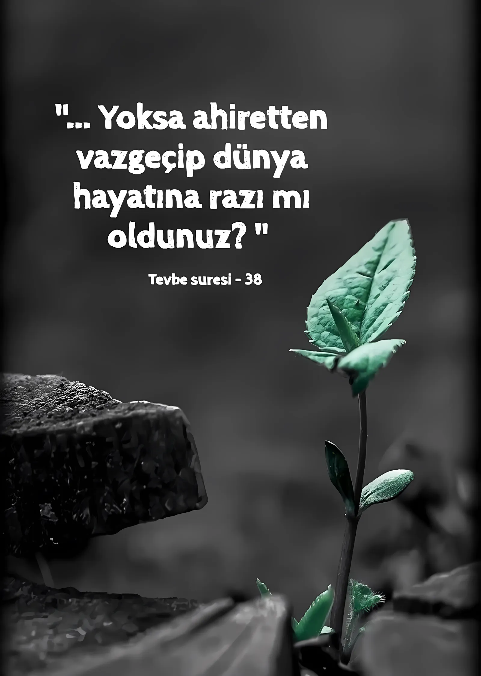 Tevbe Suresi: Dünya Hayatına Razı mı Oldunuz metal tablo