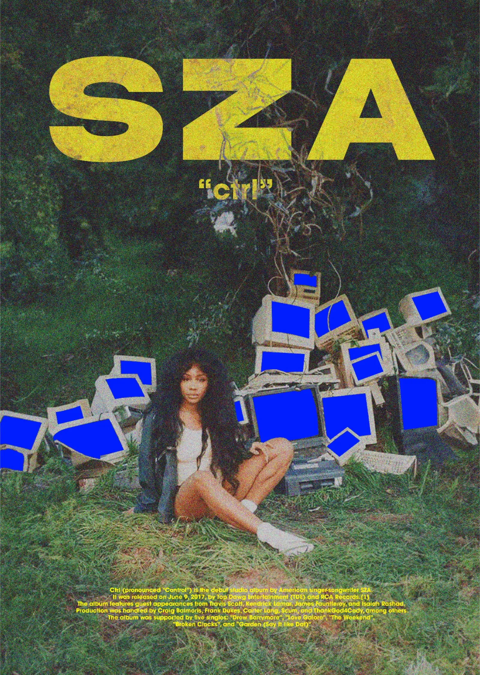 SZA: Ctrl metal tablo