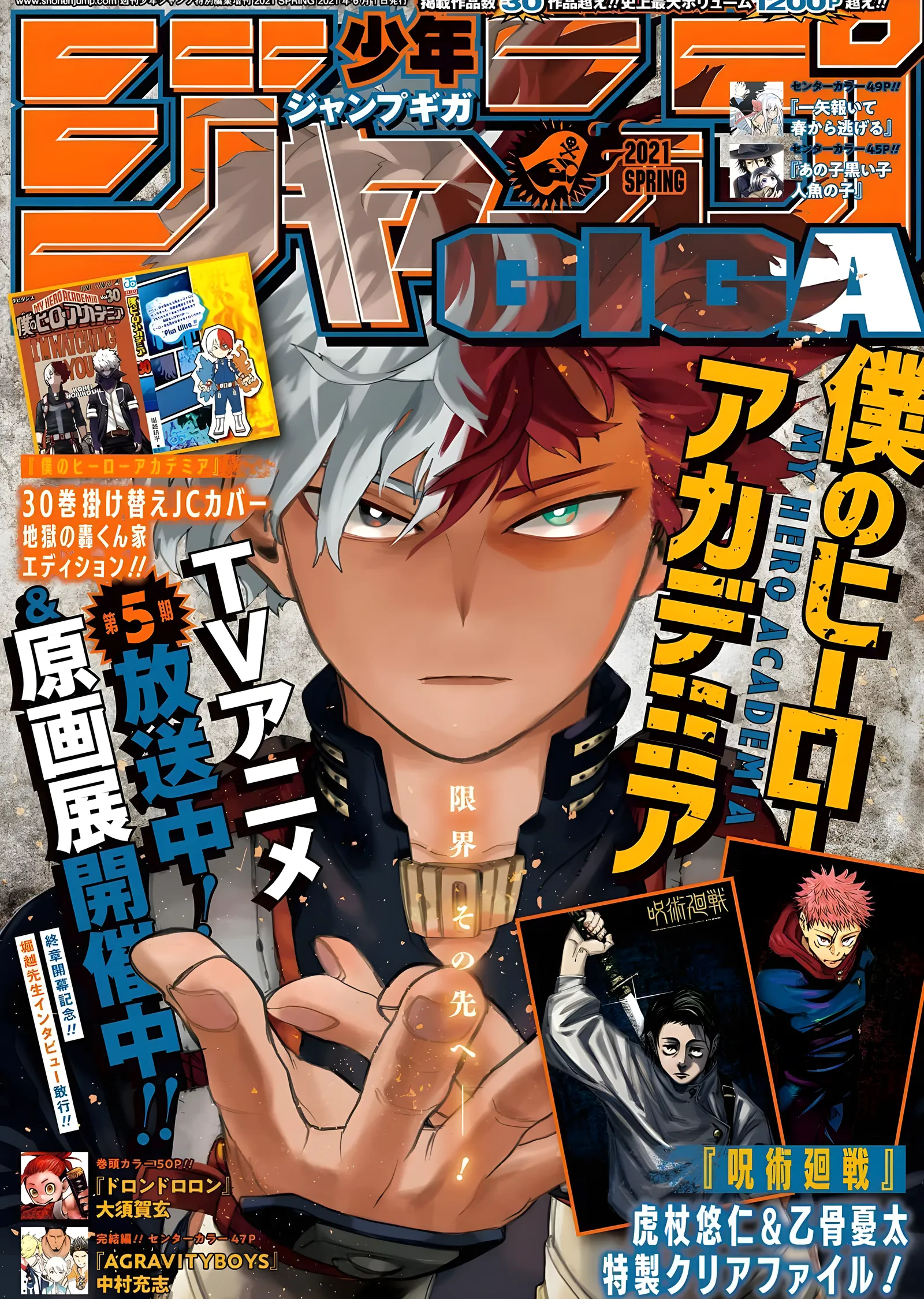 My Hero Academia: Todoroki Dergi Kapağı metal tablo