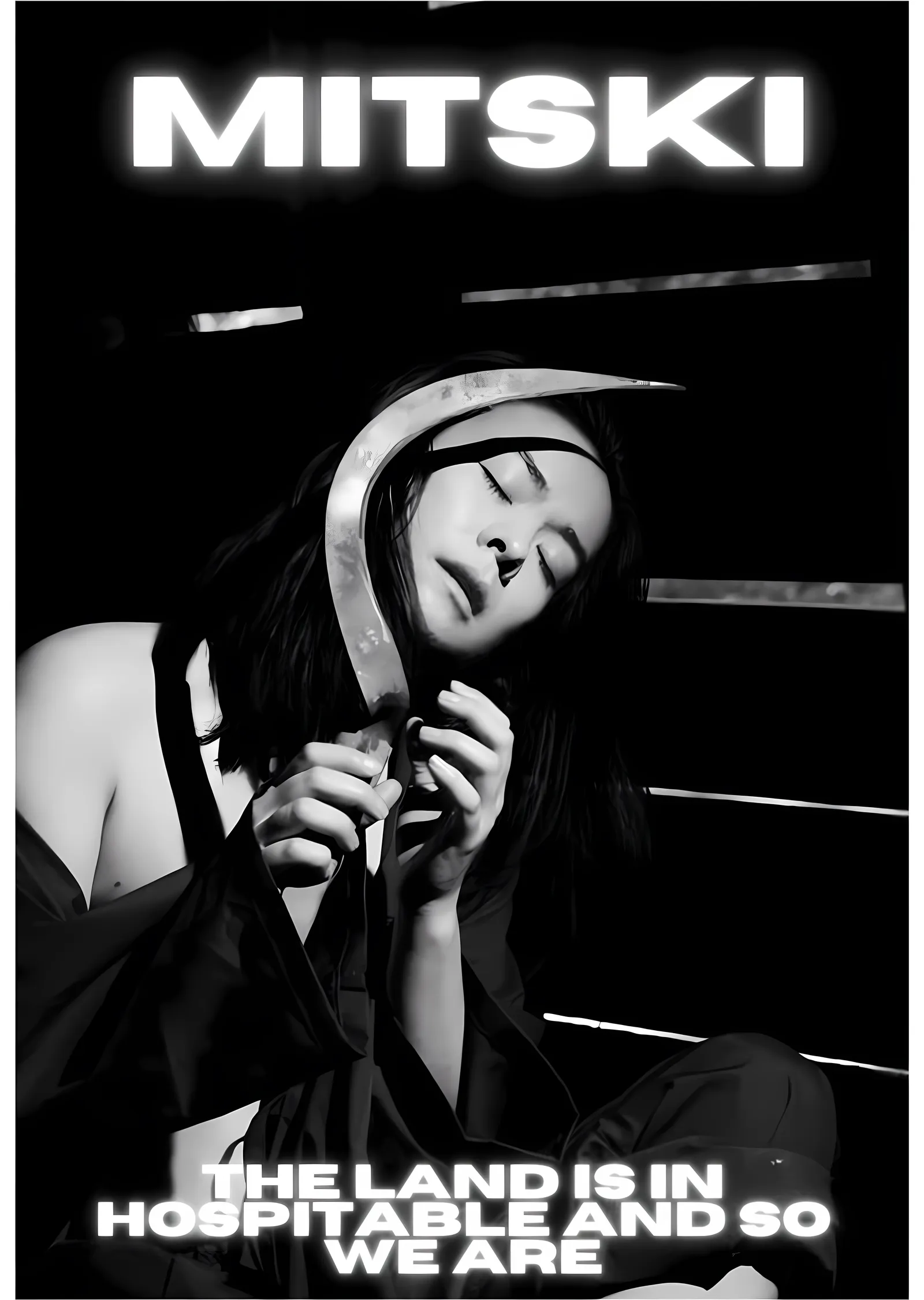 Mitski - The Land Is Inhospitable and So Are We metal tablo