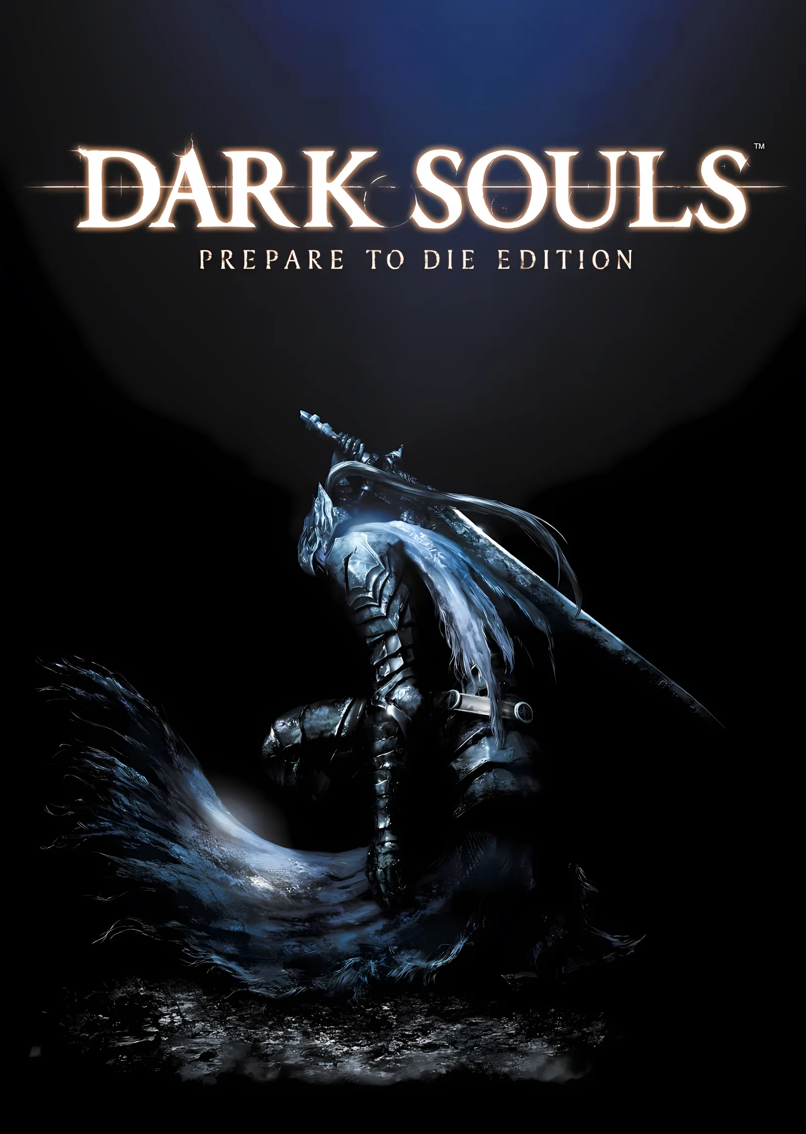 Dark Souls: Prepare to Die Edition metal tablo