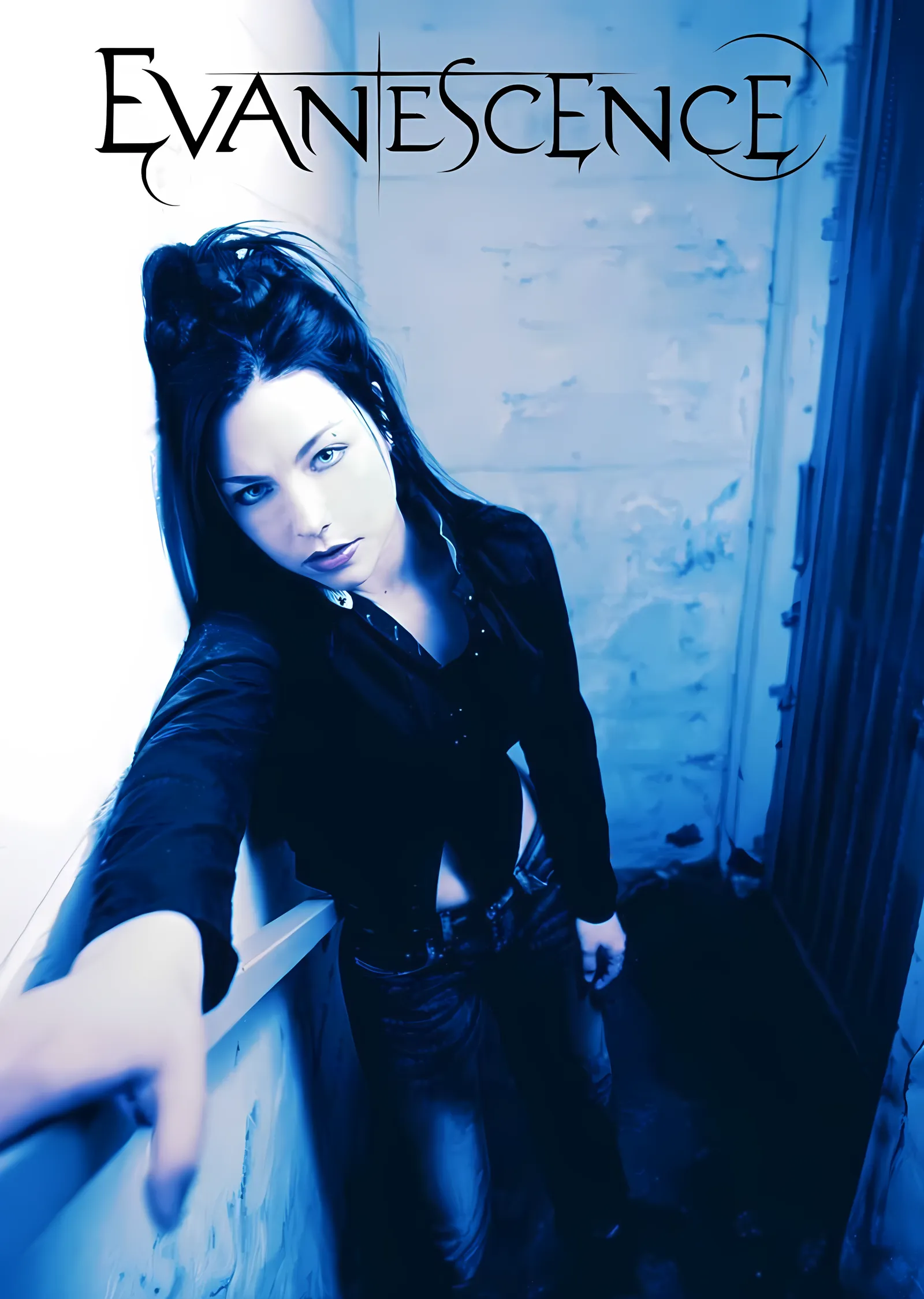 Evanescence: Mavi Koridor metal tablo