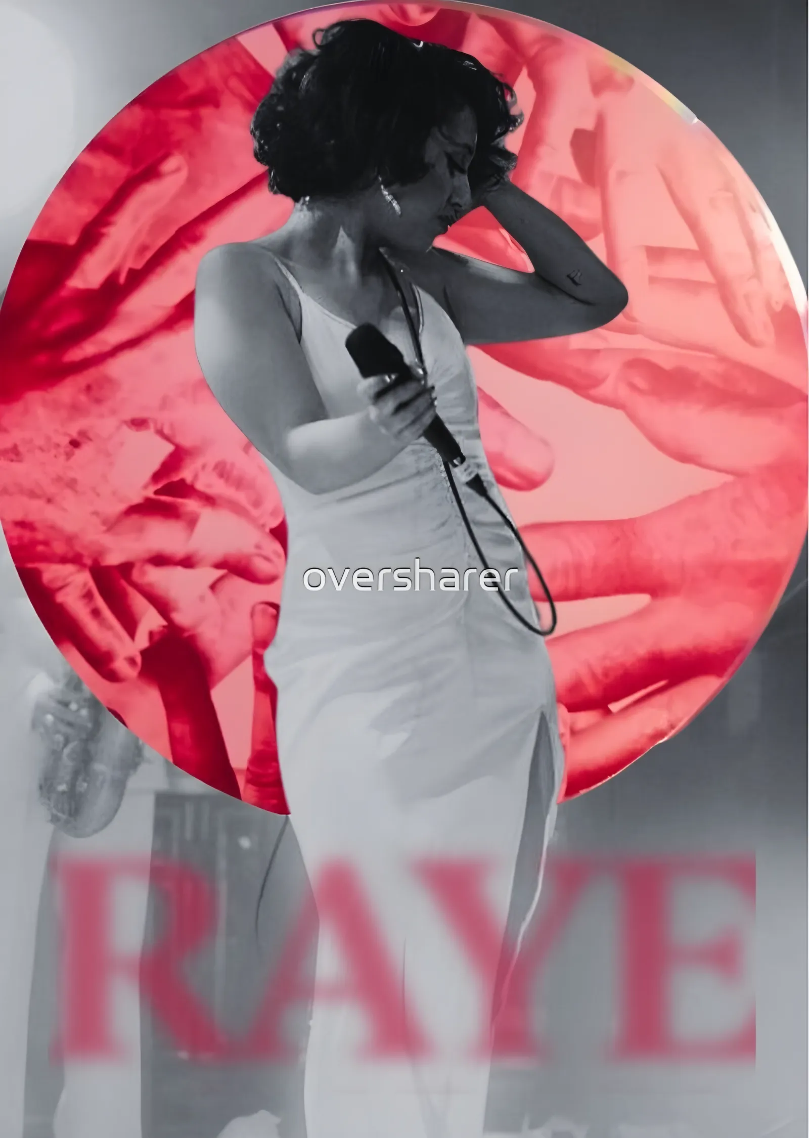 RAYE - Pembe Daire metal tablo