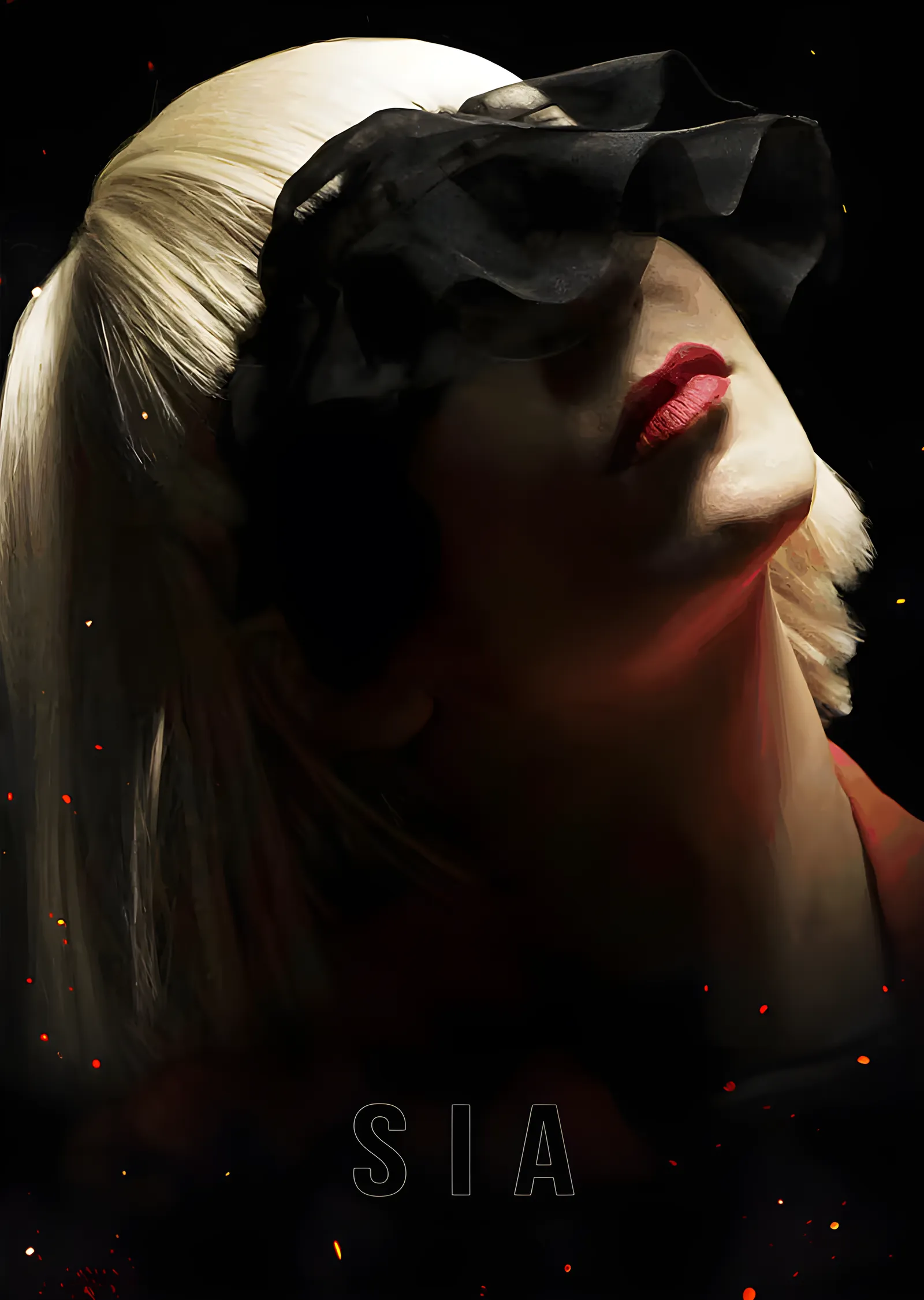 Sia - Siyah Fiyonk metal tablo