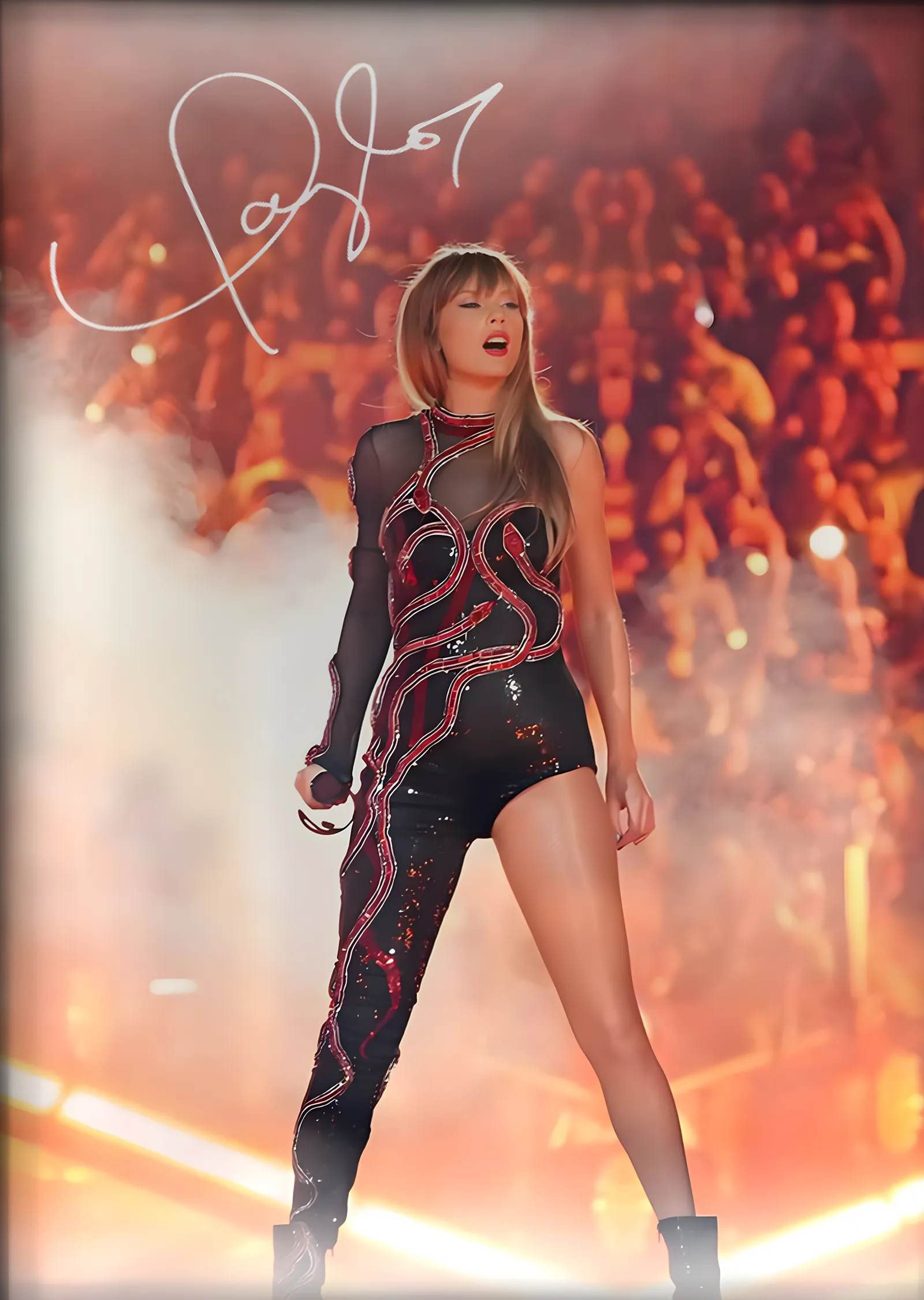 Taylor Swift: Konser metal tablo
