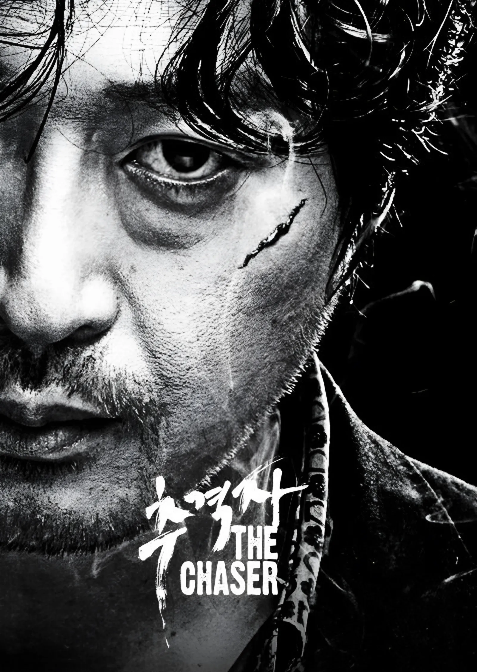 The Chaser Yakın Plan metal tablo