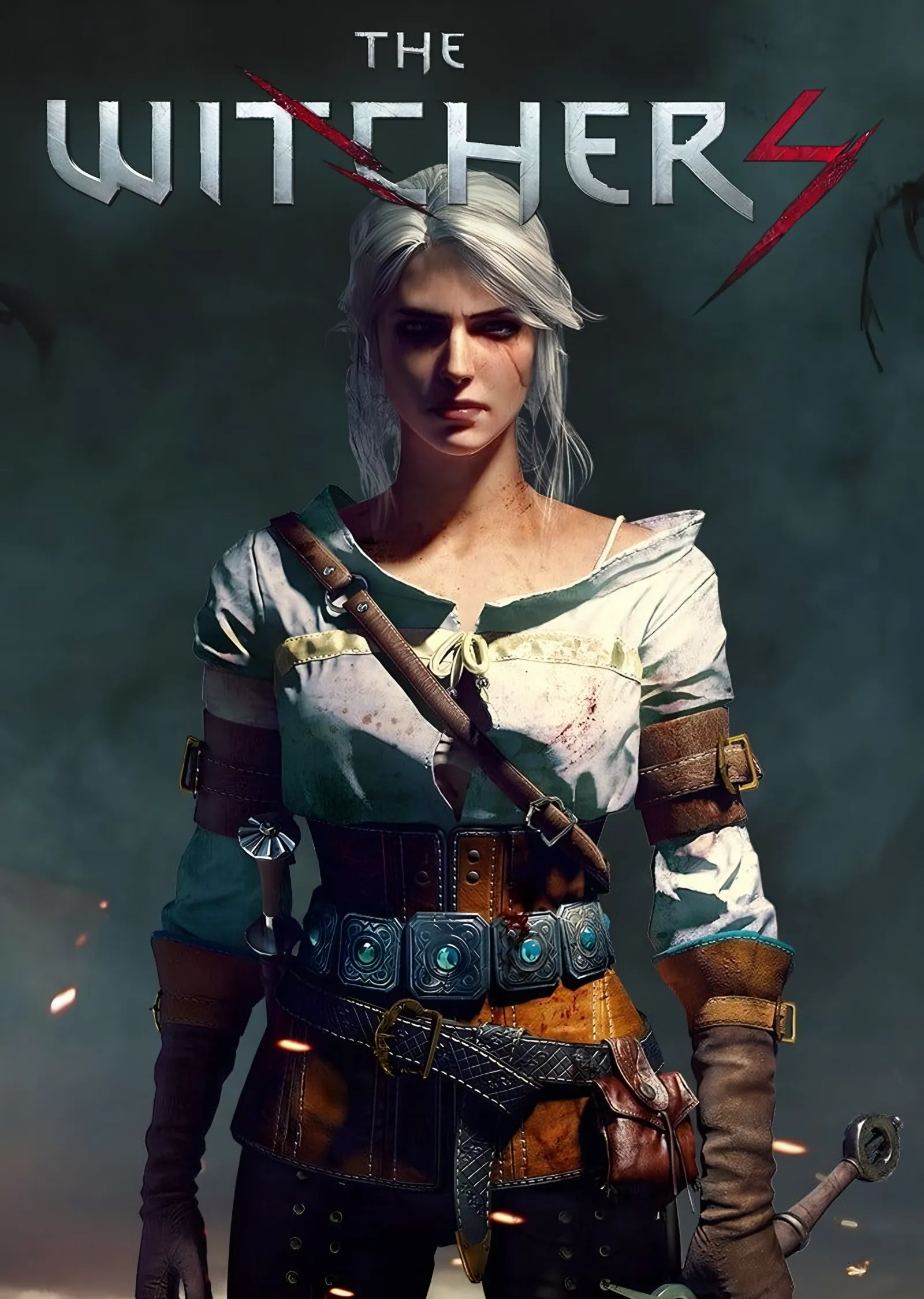 The Witcher Ciri metal tablo