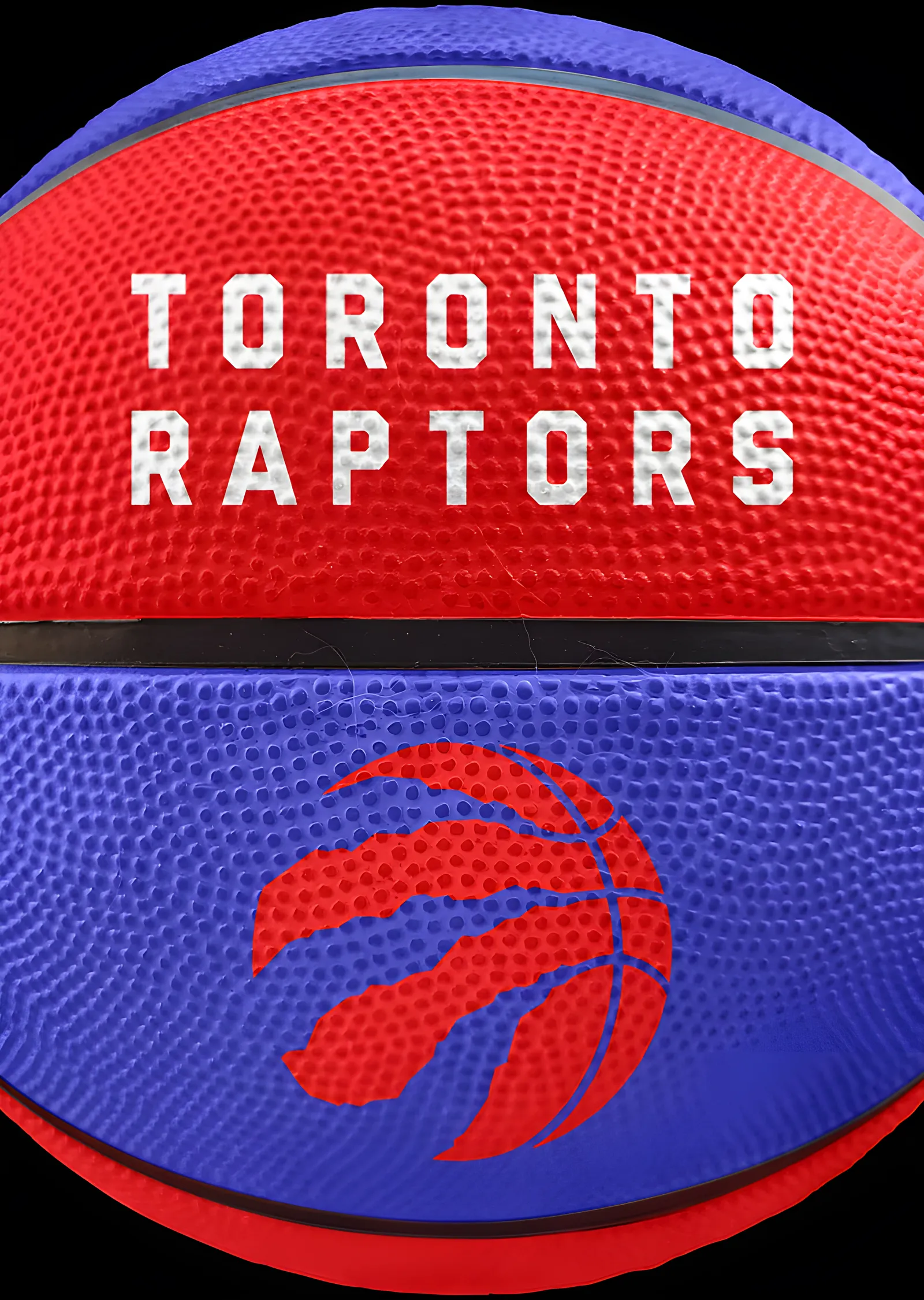 Toronto Raptors - Basketbol Topu metal tablo