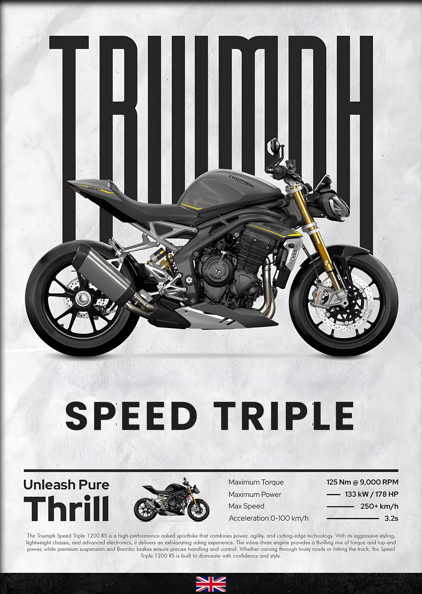 Triumph Speed Triple metal tablo