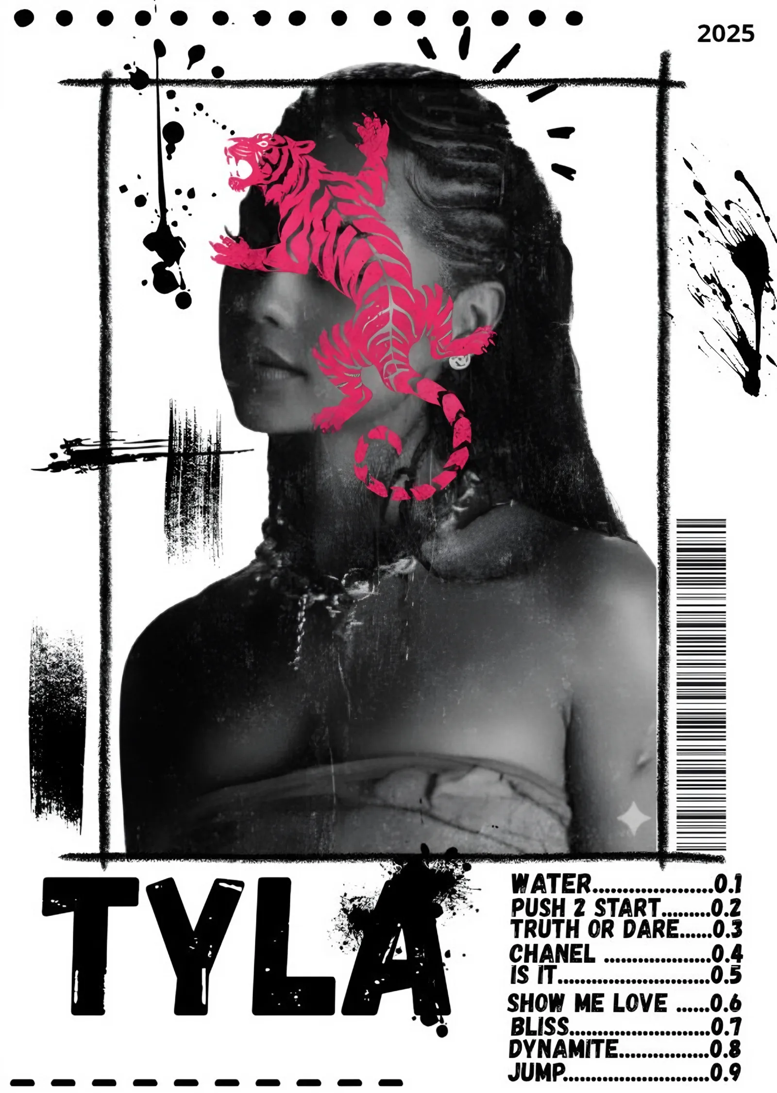 Tyla - Pembe Kaplan Şarkı Listesi metal tablo