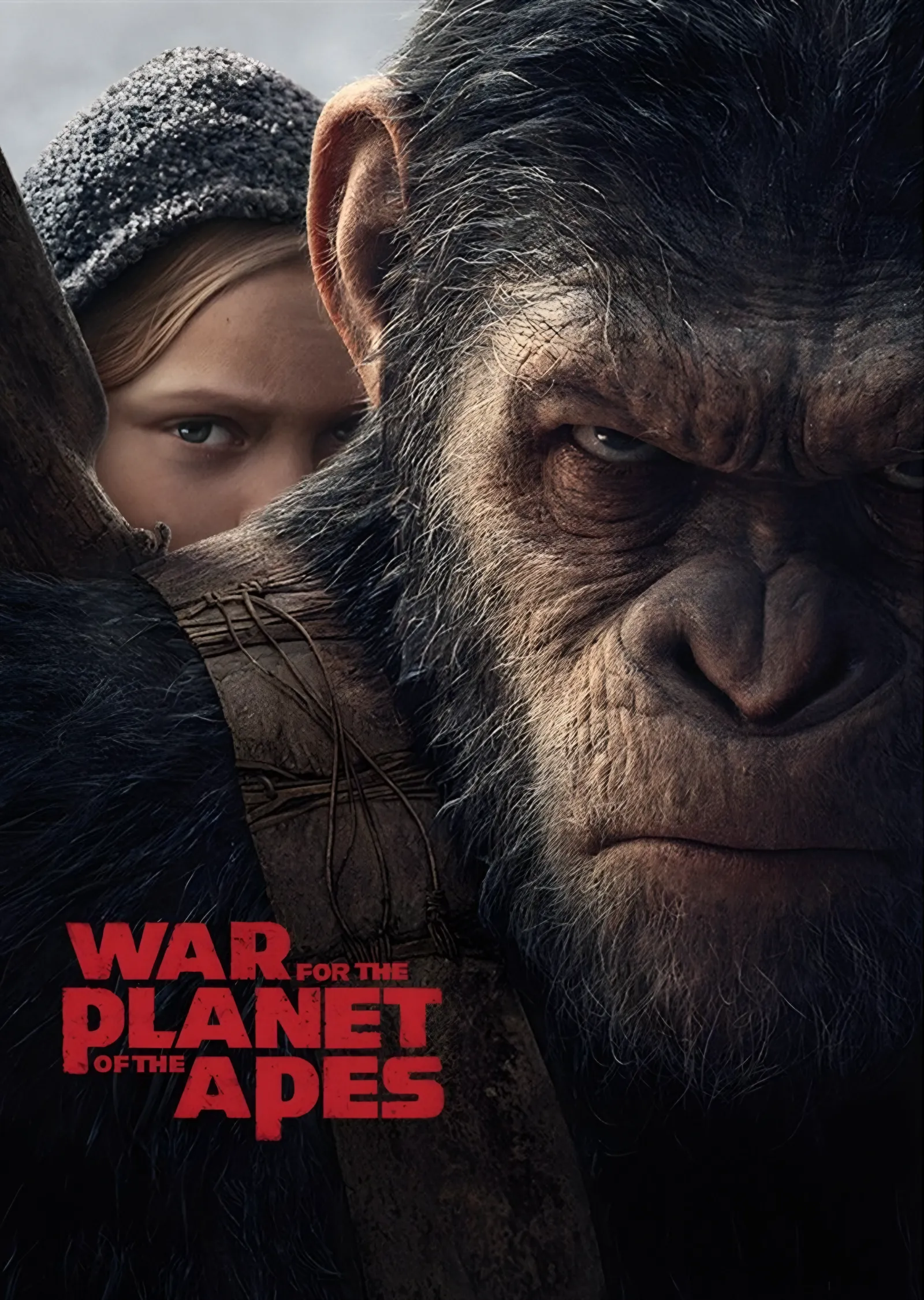 War for the Planet of the Apes Yakın Plan metal tablo