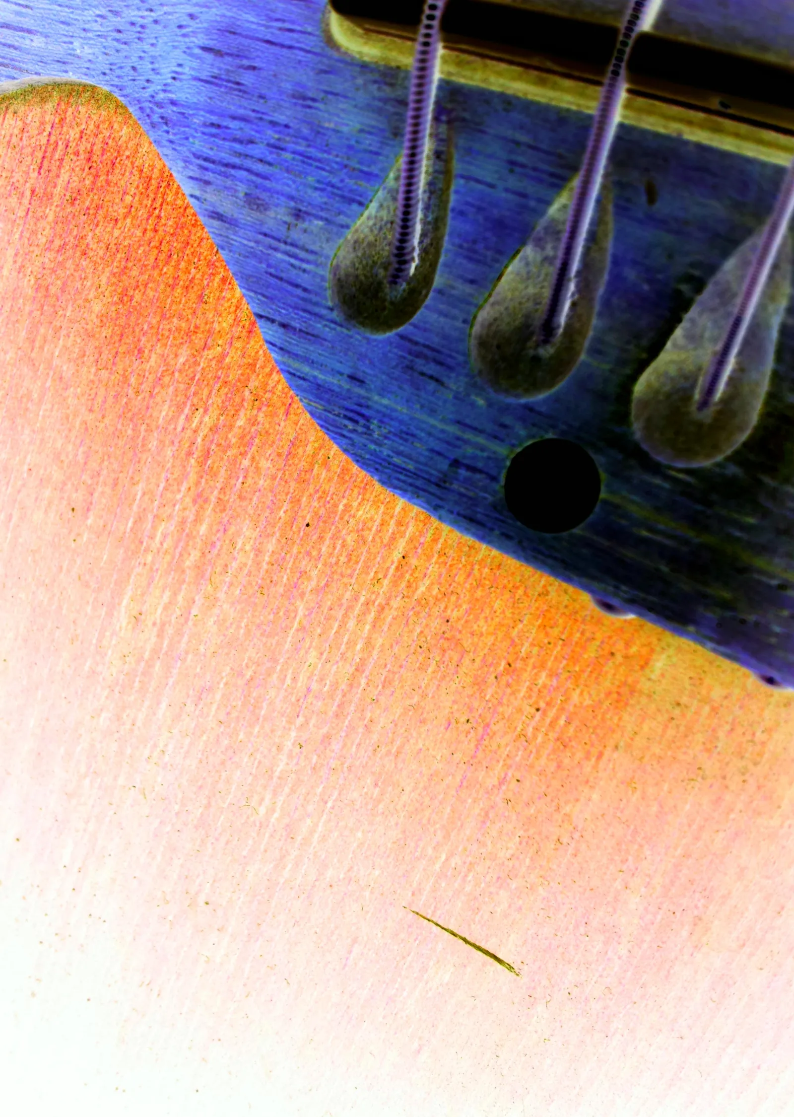 Müzik Aletleri Sanatı: Gitar Detayı metal tablo