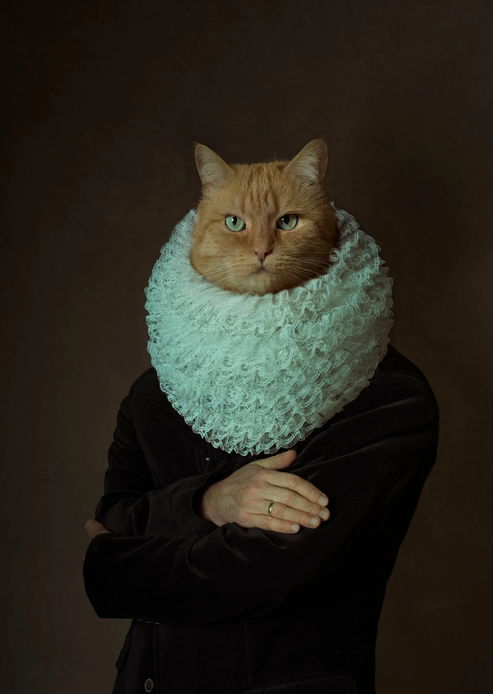 Kedi Başlı Portre metal tablo