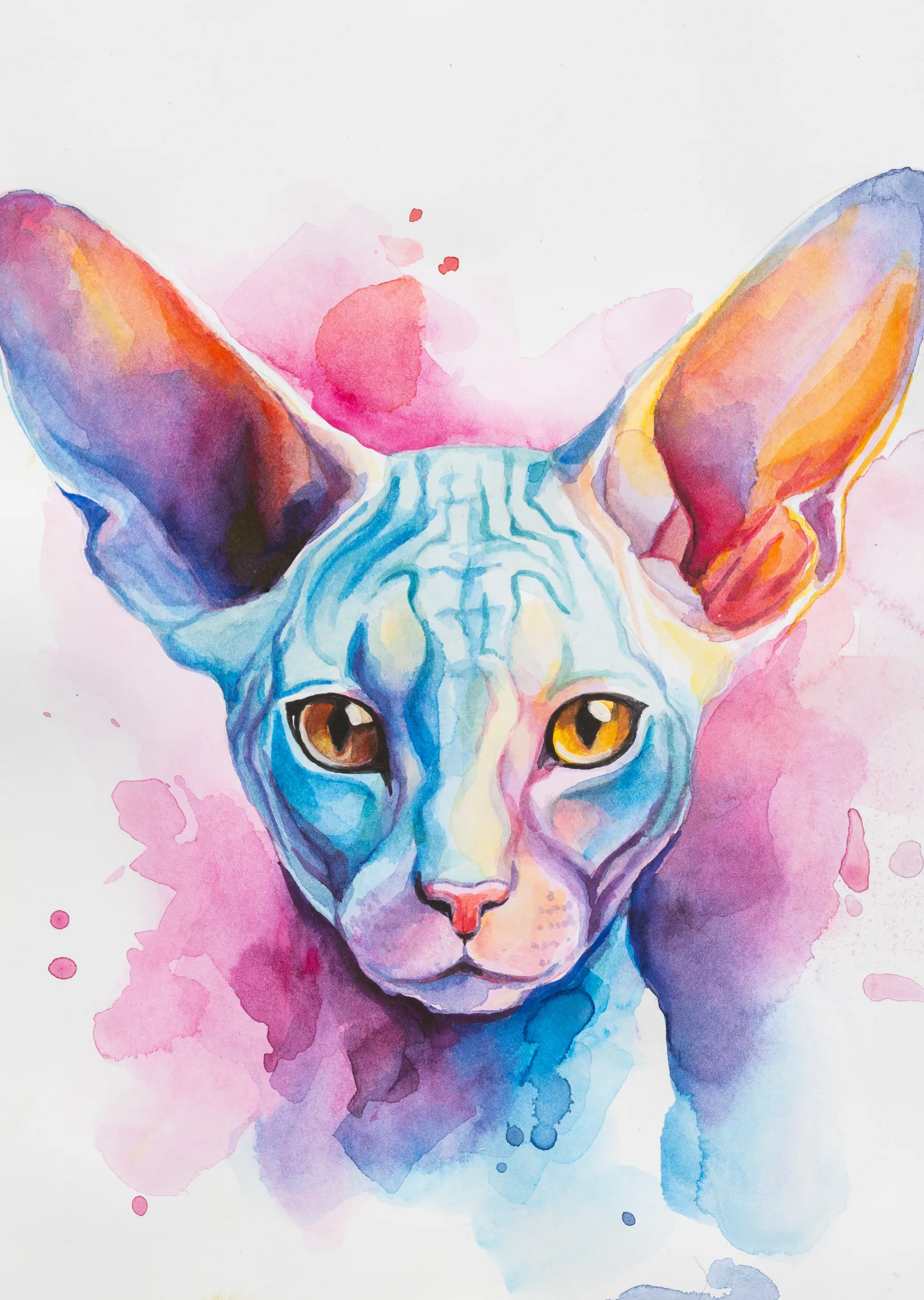 Mavi Sphynx Kedisi: Su Renkleriyle Sanat Eseri metal tablo