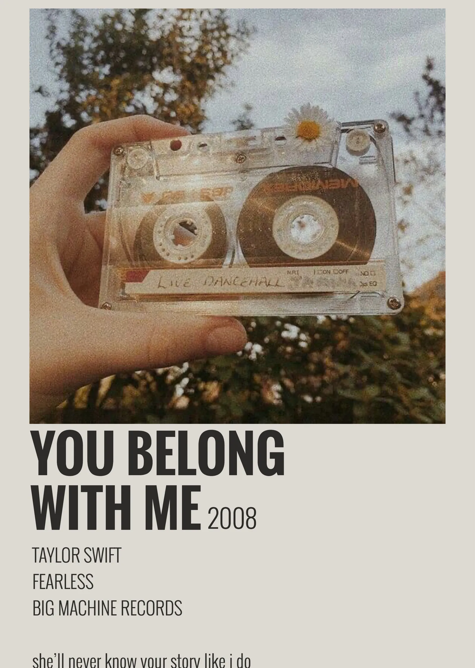 Taylor Swift: You Belong With Me 2008 metal tablo