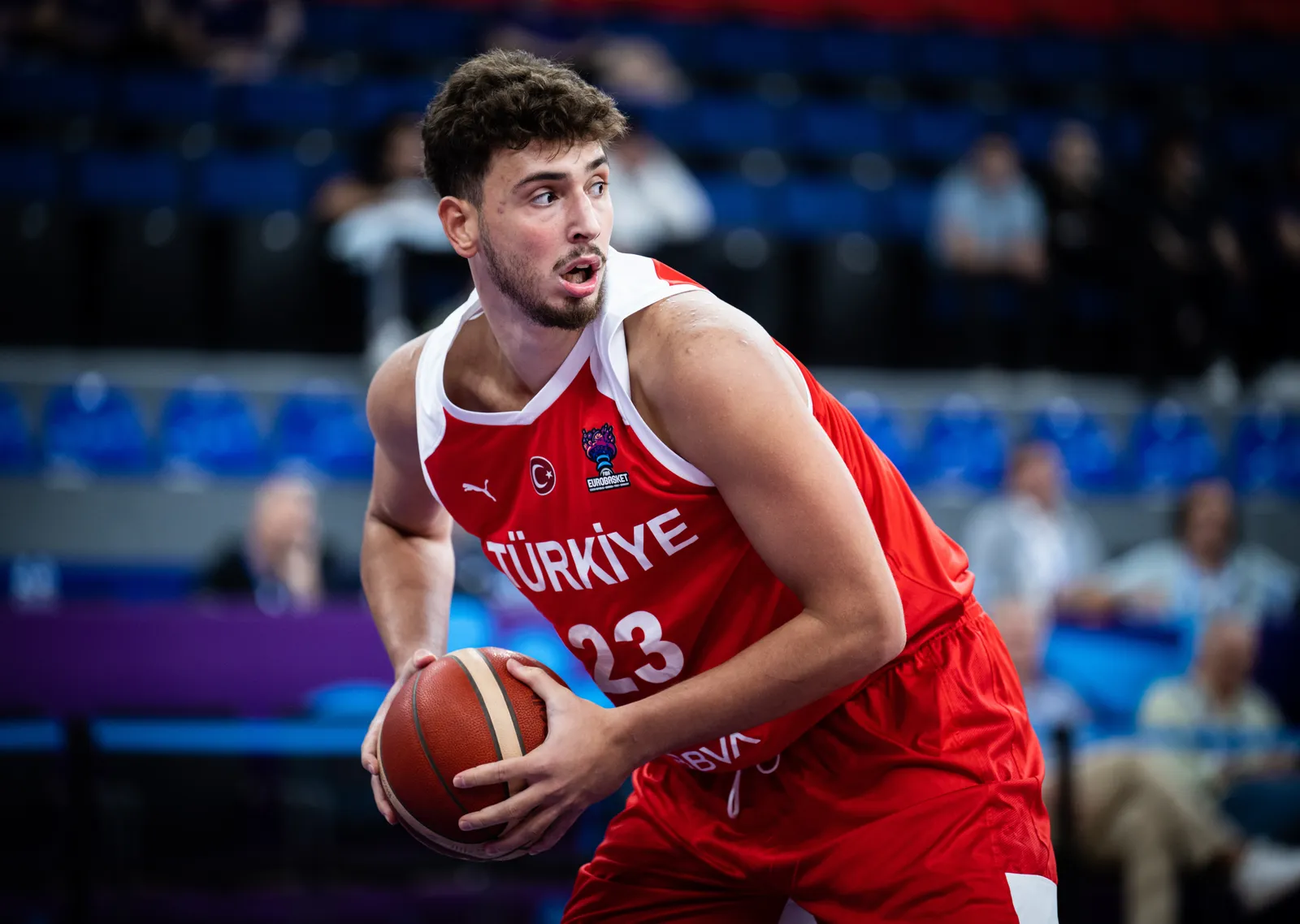 Alperen Şengün: EuroBasket metal tablo
