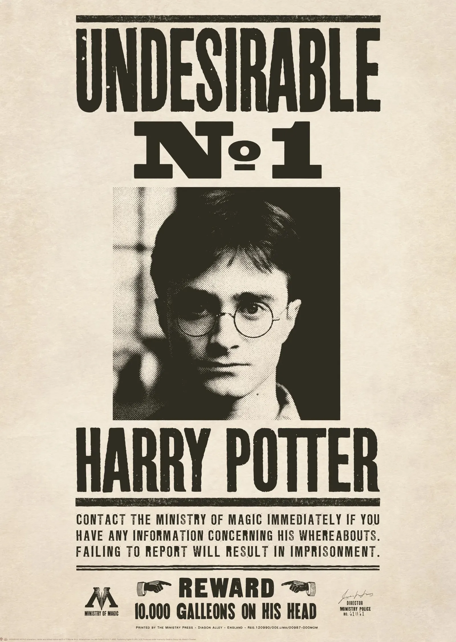 Harry Potter: Aranıyor metal tablo