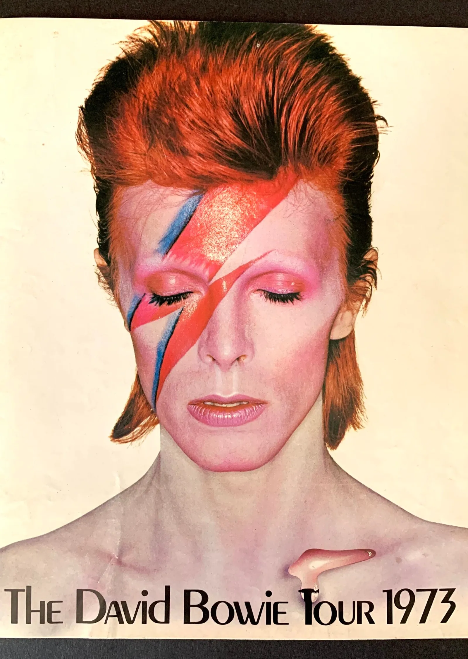 David Bowie 1973 metal tablo