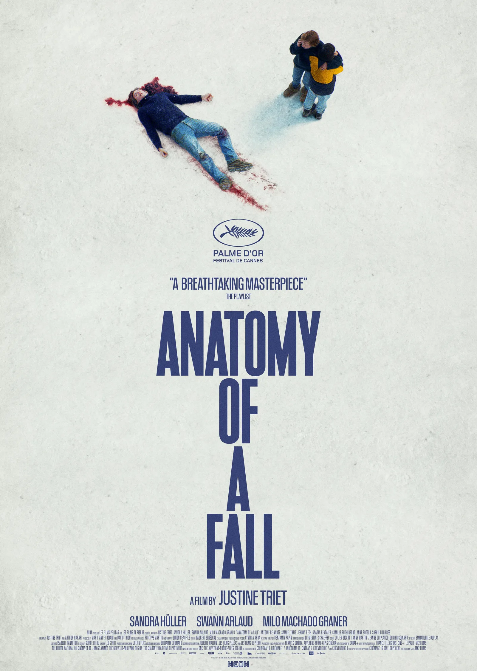 Anatomy of a Fall - Bir Düşüşün Anatomisi metal tablo