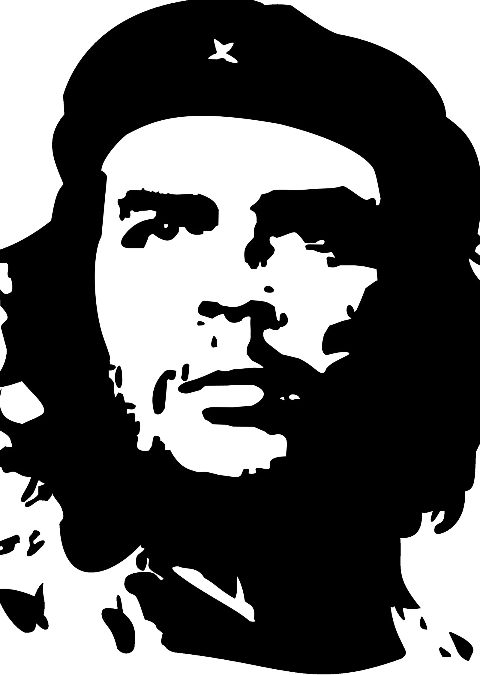 Che Guevara Siyah Beyaz metal tablo