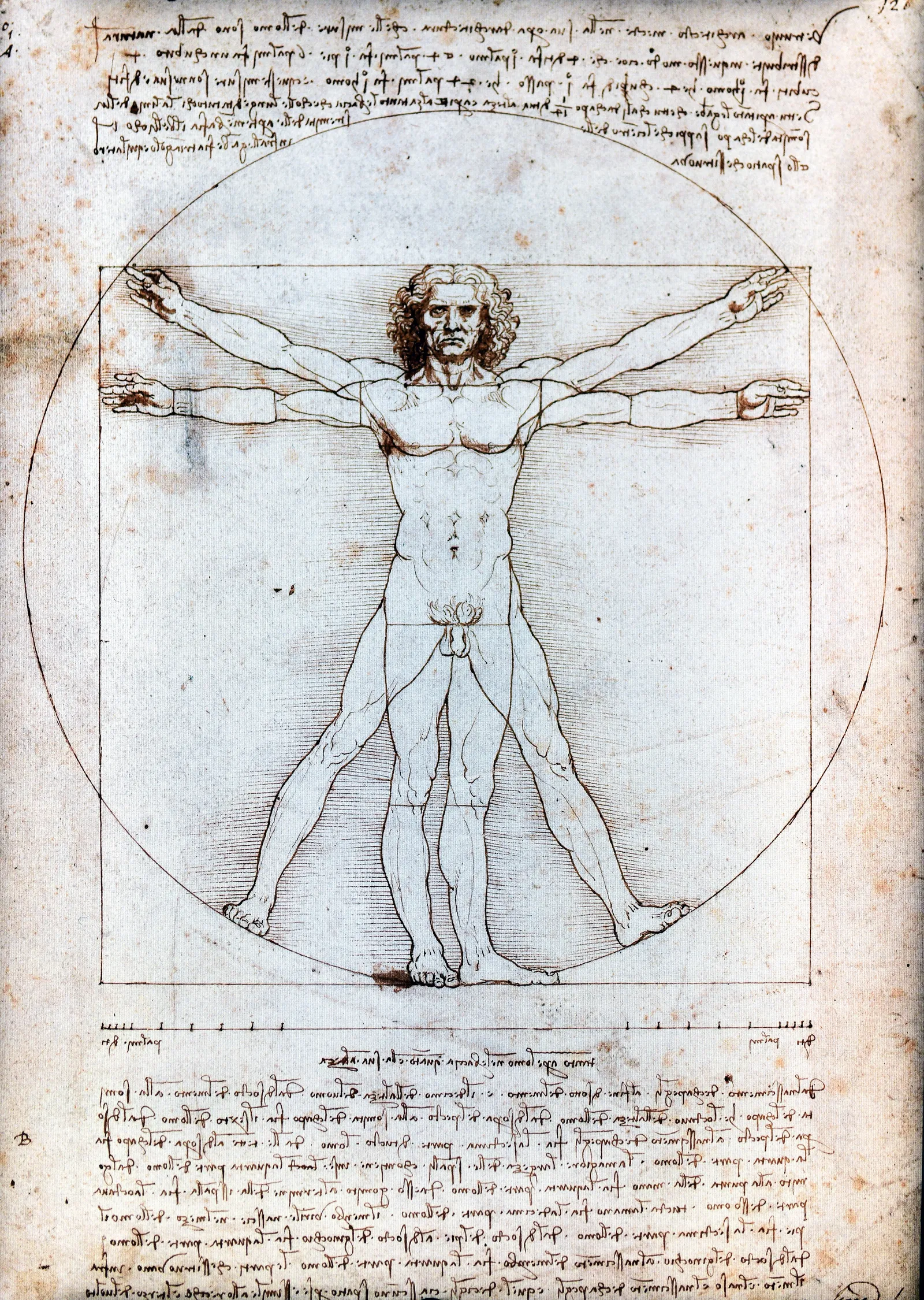 Vitruvius Adamı metal tablo