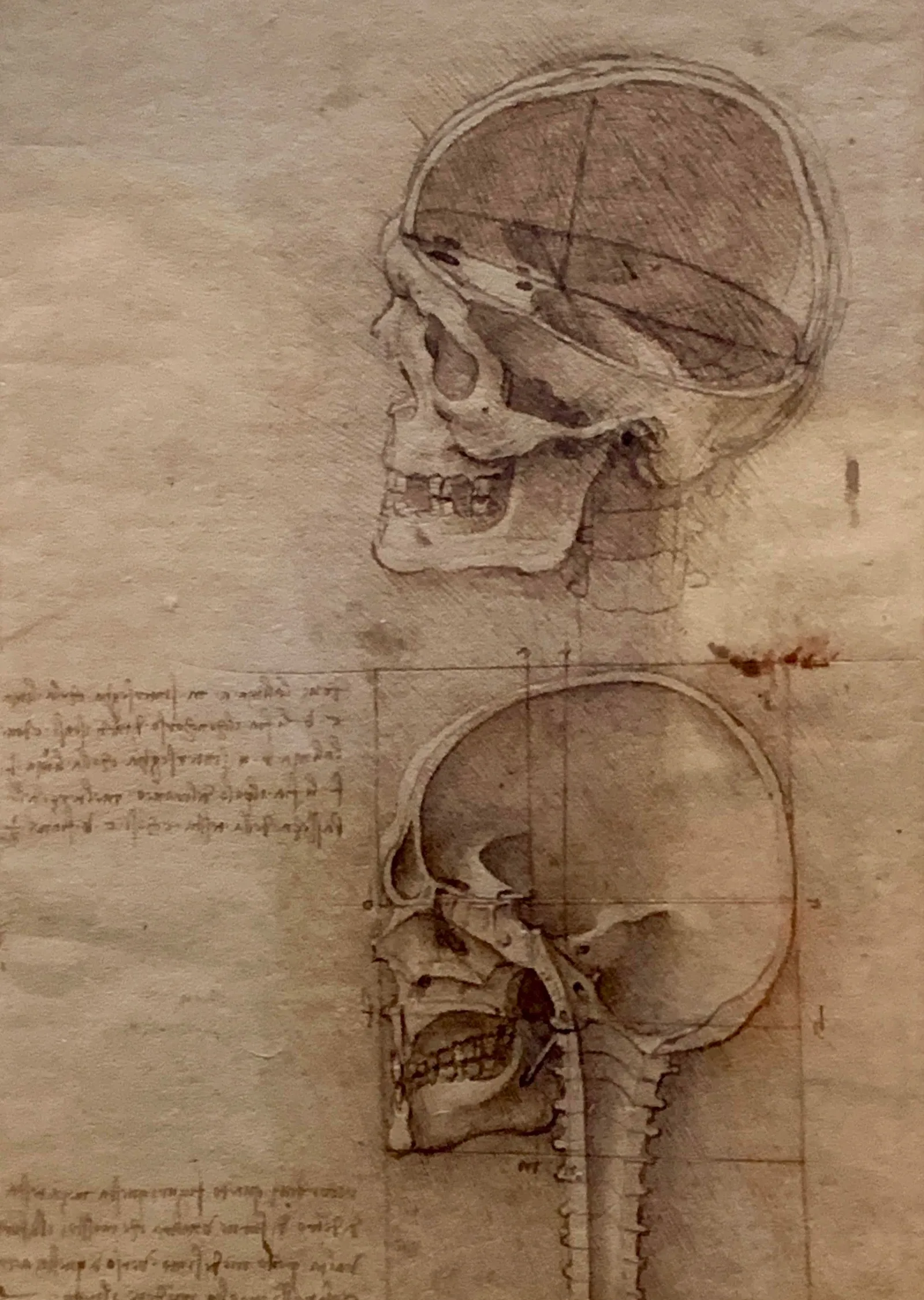Çizimlerle Bir Hayat - Leonardo da Vinci metal tablo
