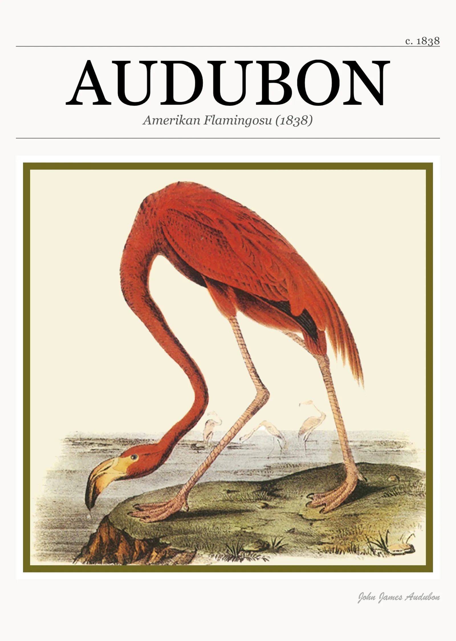 Amerikan Flamingosu (1838) metal tablo