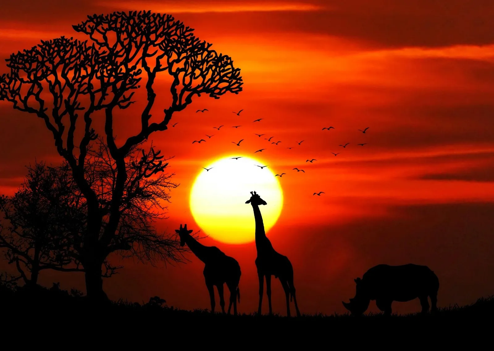 Afrika Savana Gün Batımı metal tablo