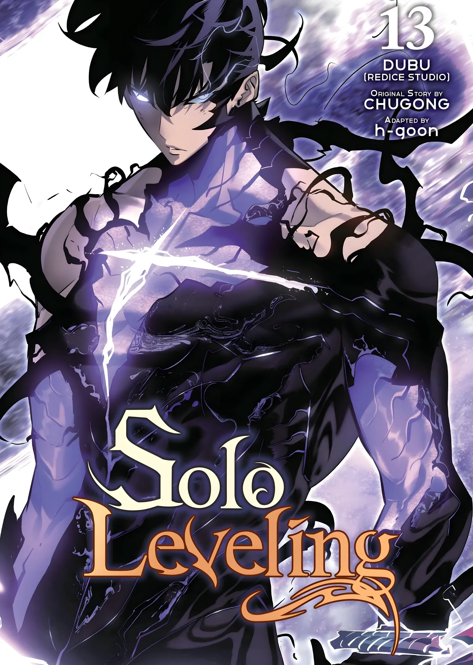 Solo Leveling Vol. 13 metal tablo