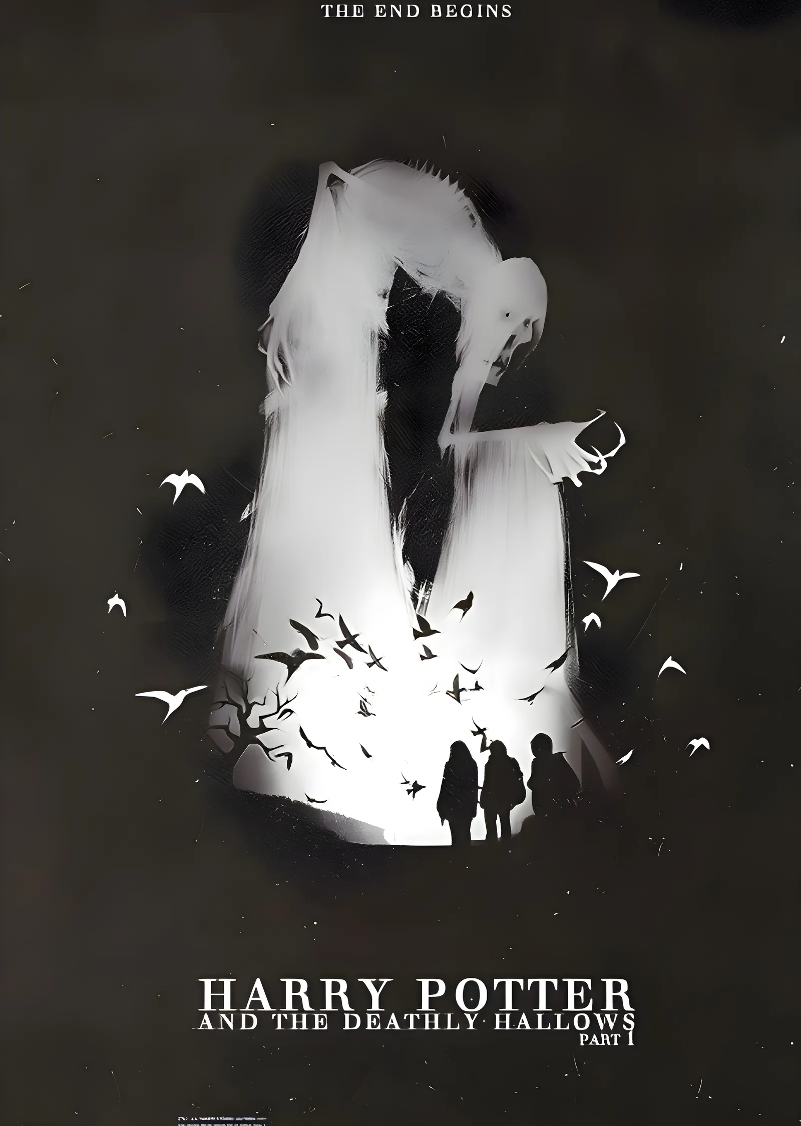 Harry Potter and the Deathly Hallows: Part 1 - Siyah Beyaz metal tablo