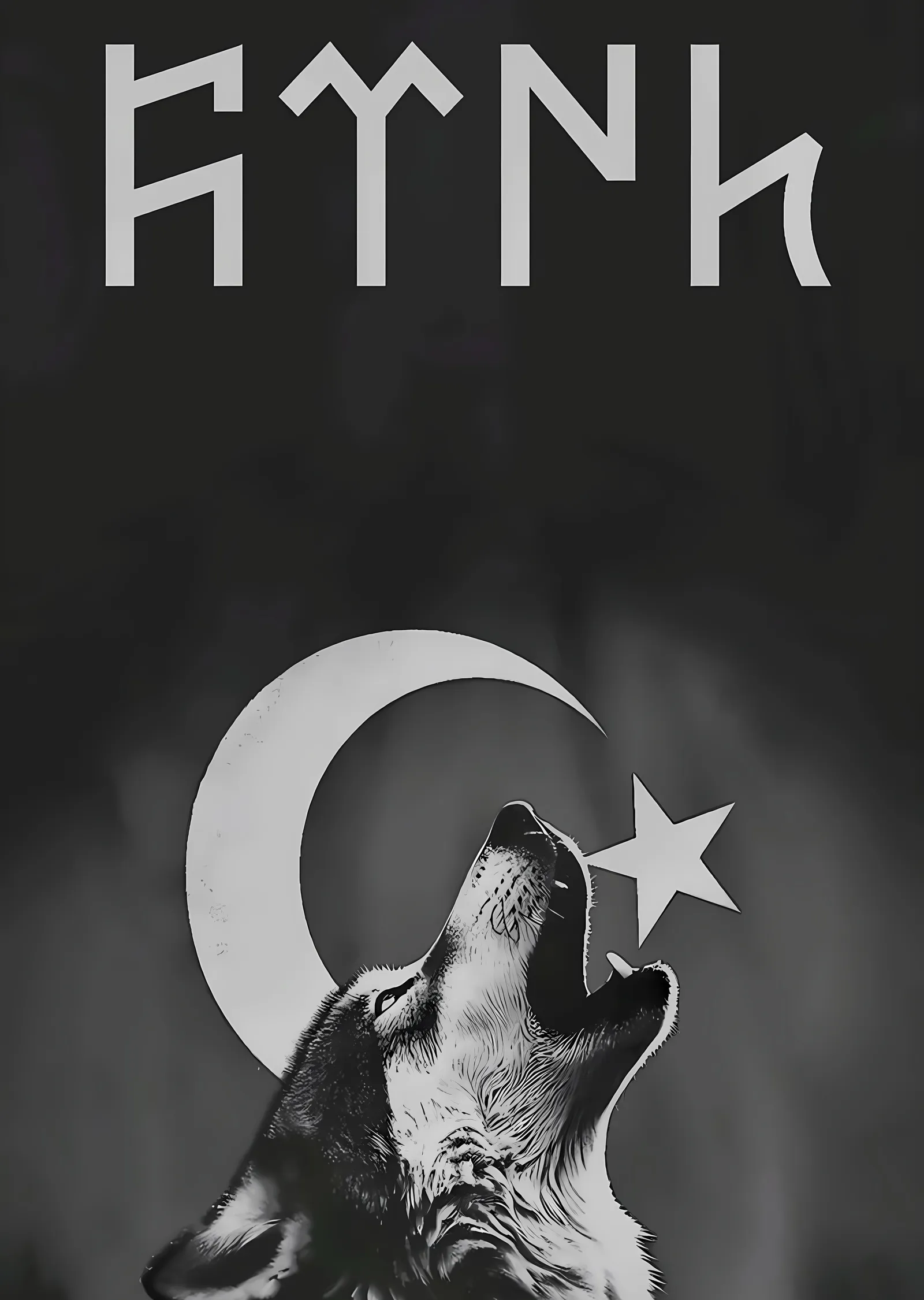 Siyah Fondaki Kurt ve Ay Yıldız metal tablo