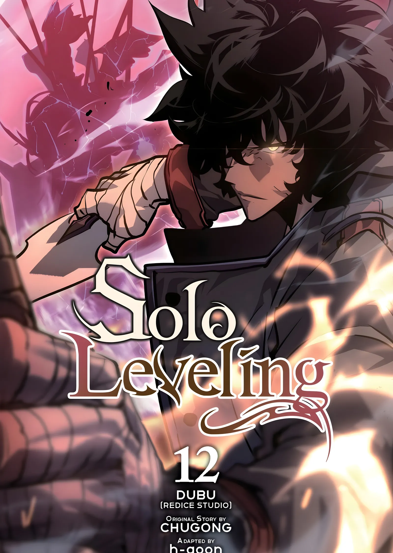 Solo Leveling Vol. 12 metal tablo