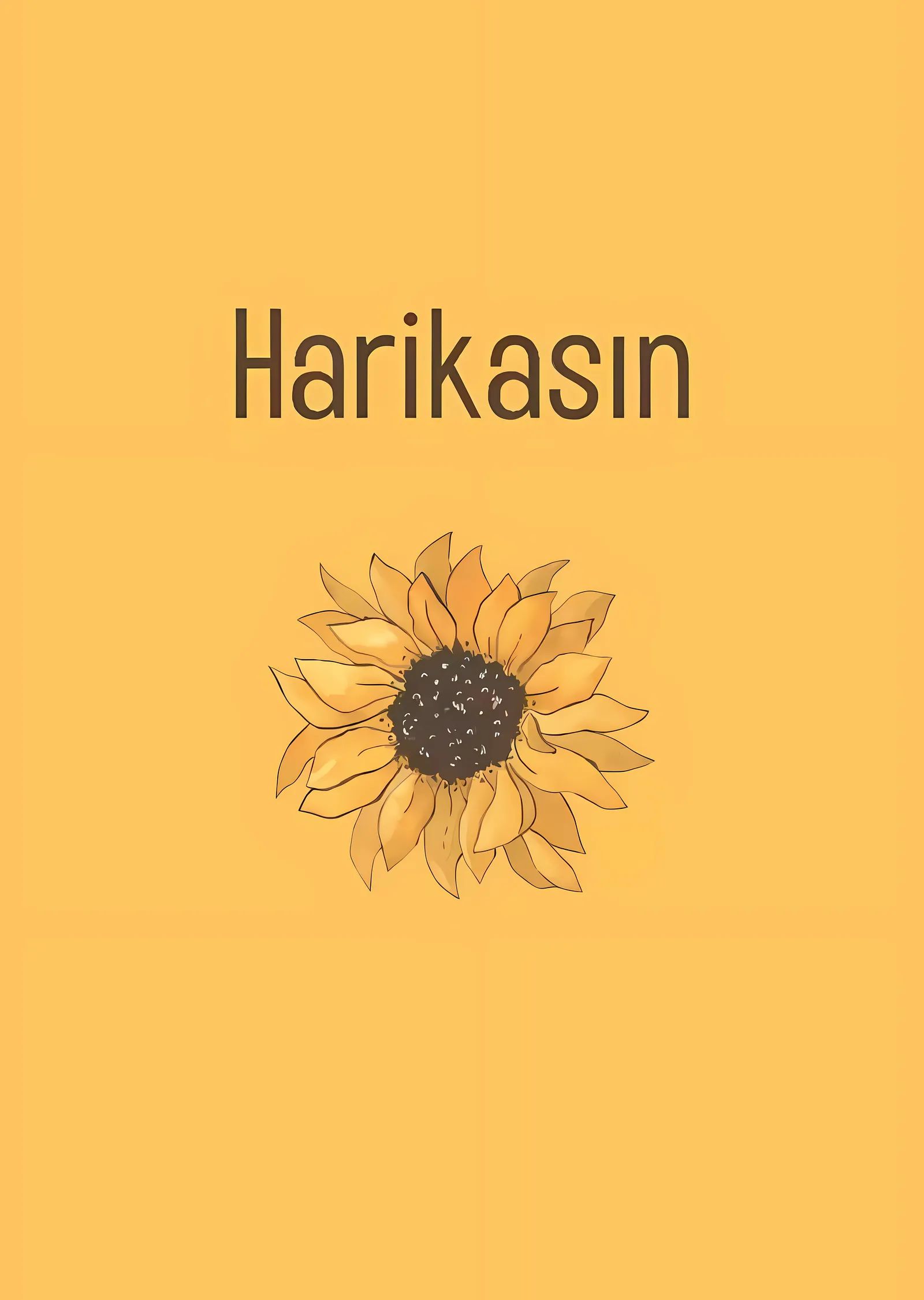 Harikasın metal tablo
