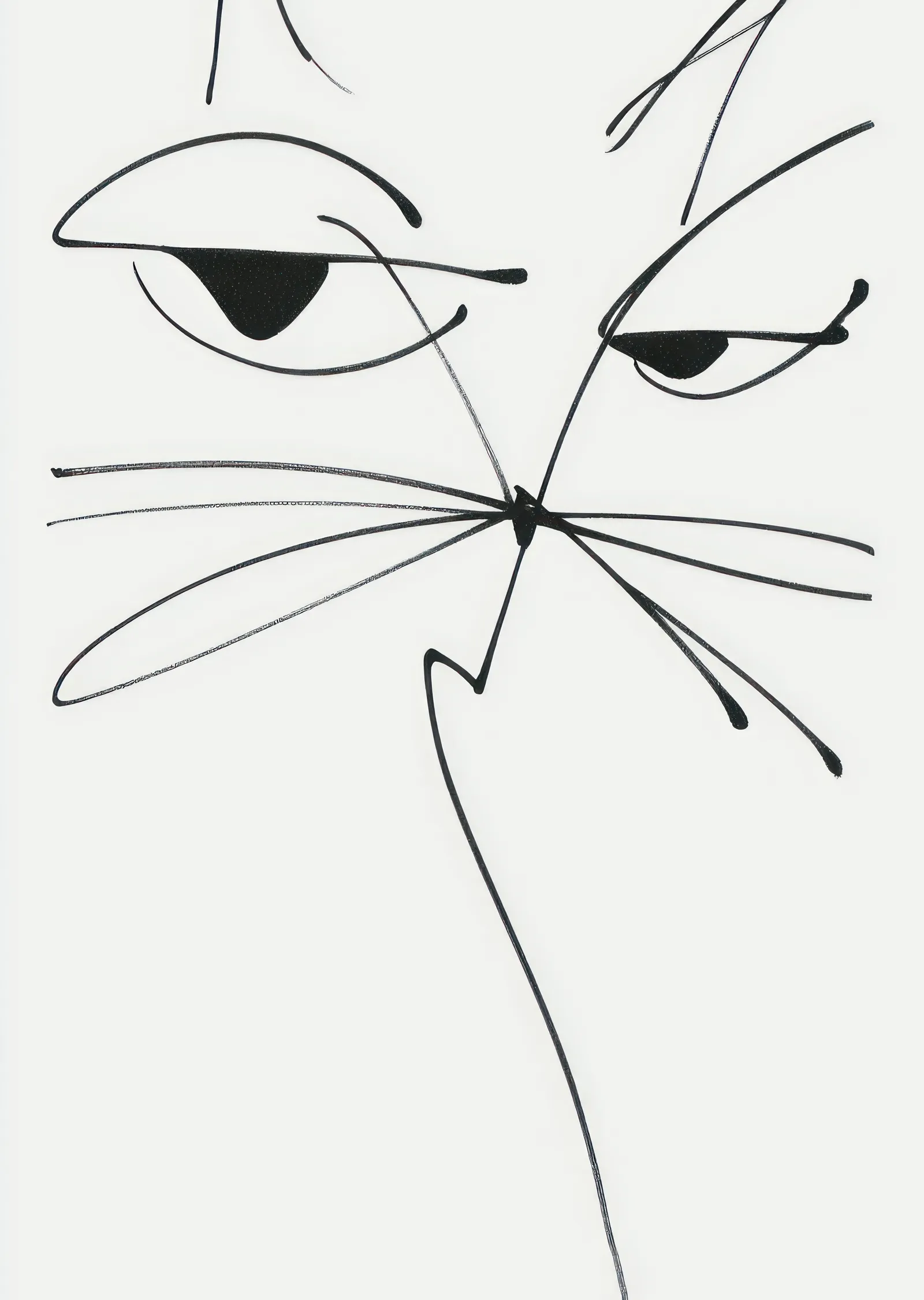 Minimalist Kedi Yüzü metal tablo