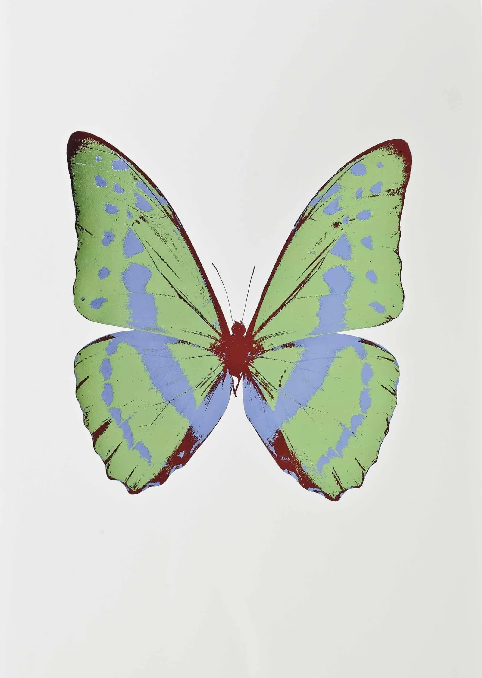 Morpho Butterfly metal tablo