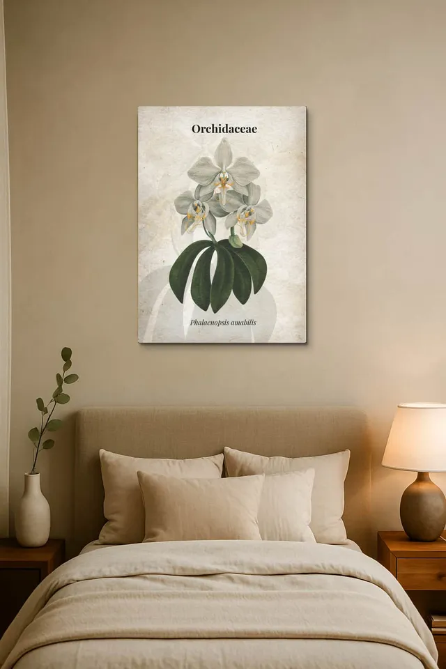 Bedroom Scandinavian Soft