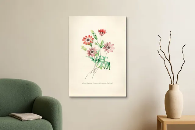 Living Modern Sage Bibendum Armchair Ls