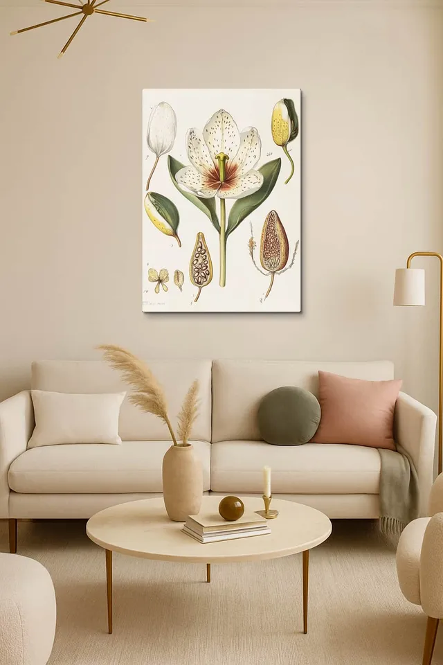 Living Room Salon Decor Cream Armchair Pair