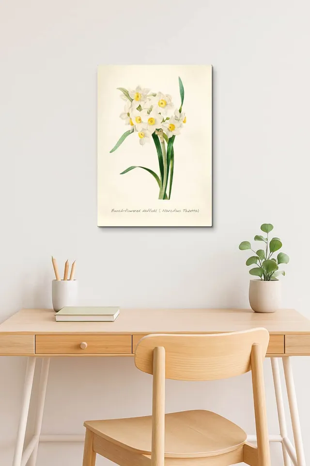 Calisma Scandinavian Birch