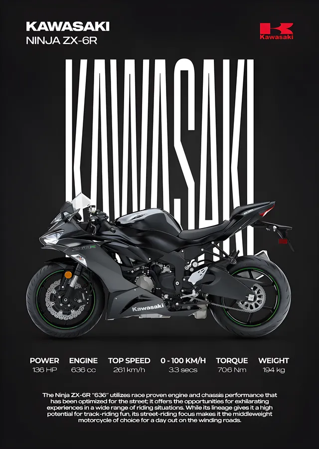Kawasaki Ninja ZX-6R 636 metal tablo