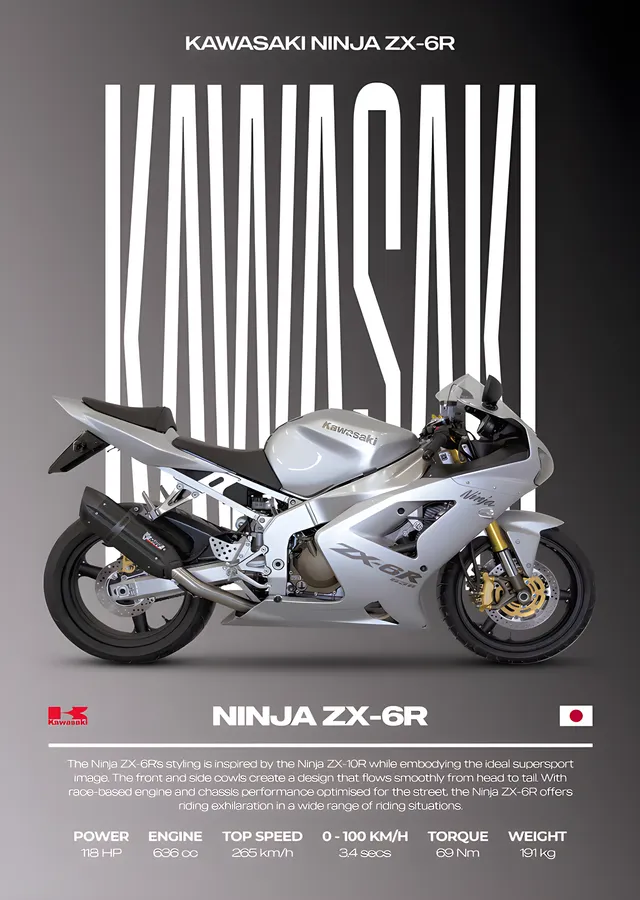 Kawasaki Ninja ZX-6R - Beyaz metal tablo