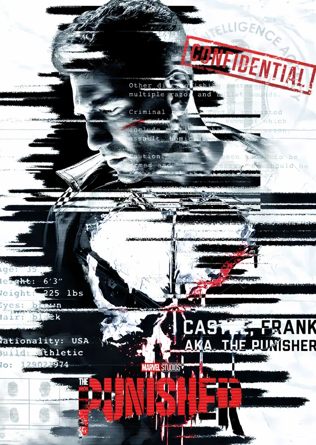 The Punisher: Frank Castle metal tablo